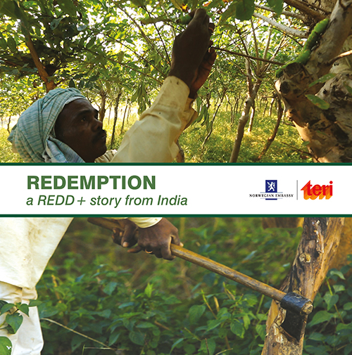 Redemption: a REDD+ story from India